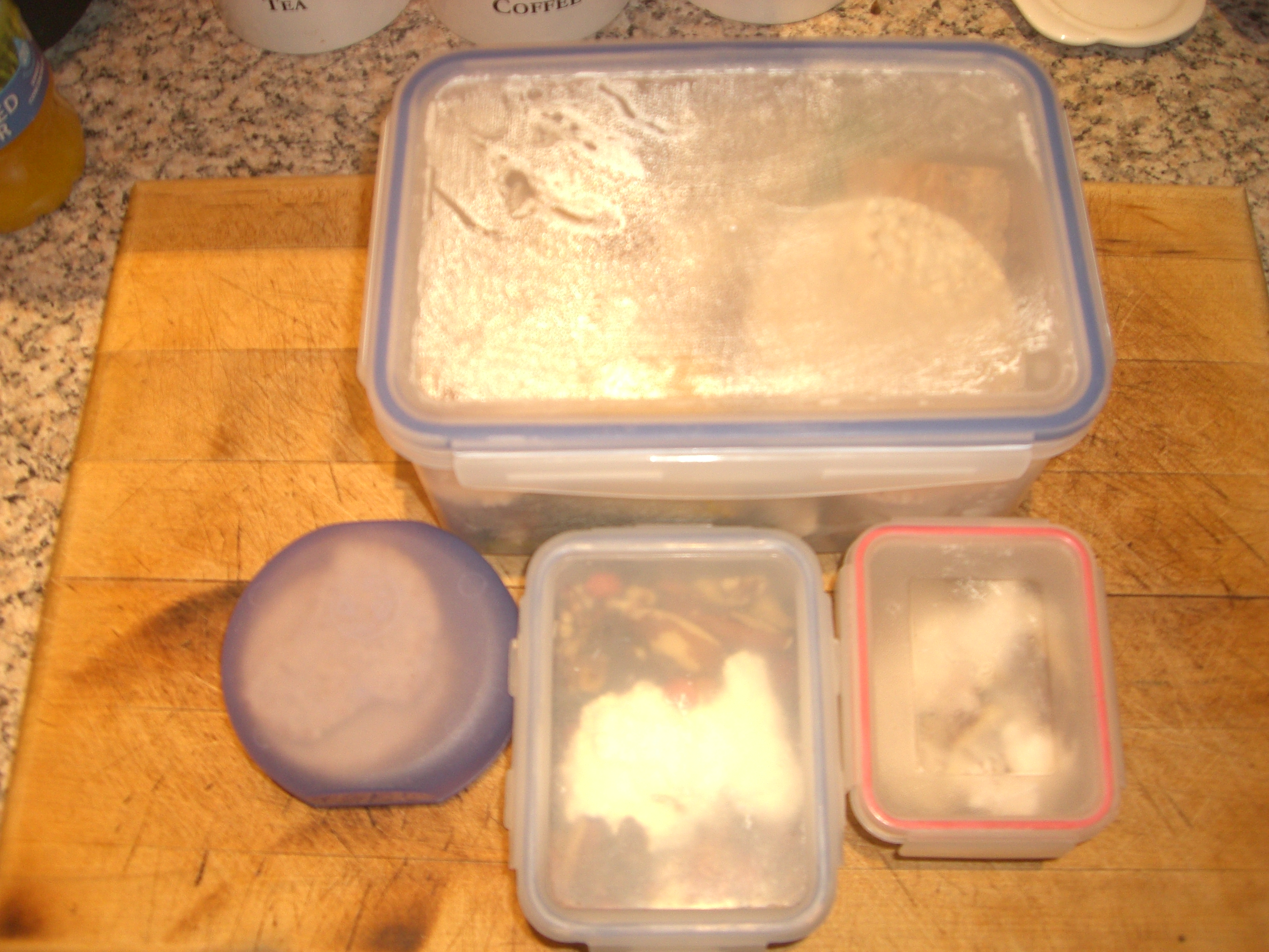 Preparing Food